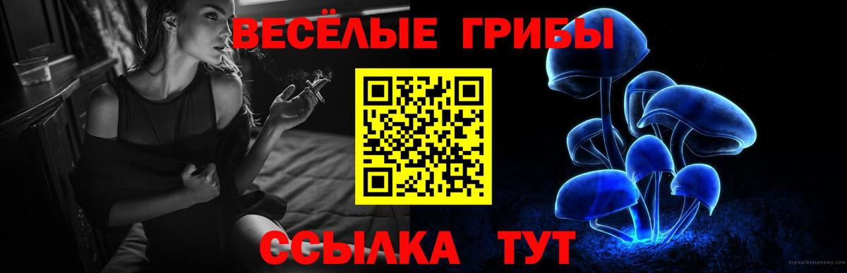 купить закладку  Псилоцибиновые грибы Psilocybe  Вход с VPN  Всеволожск 